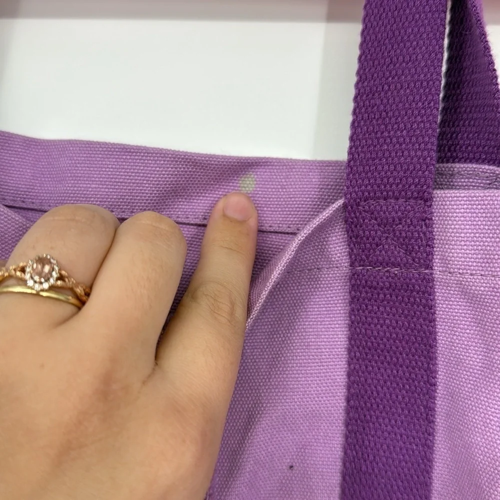 American Girl Purple book bag- If you can dream it, you can do it!